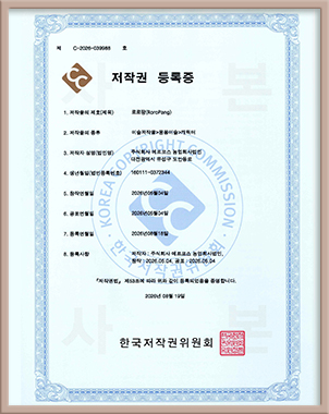 Copyright Certificate for RoroPang
